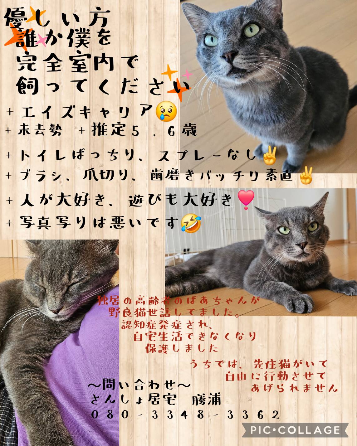 飼い主募集！！